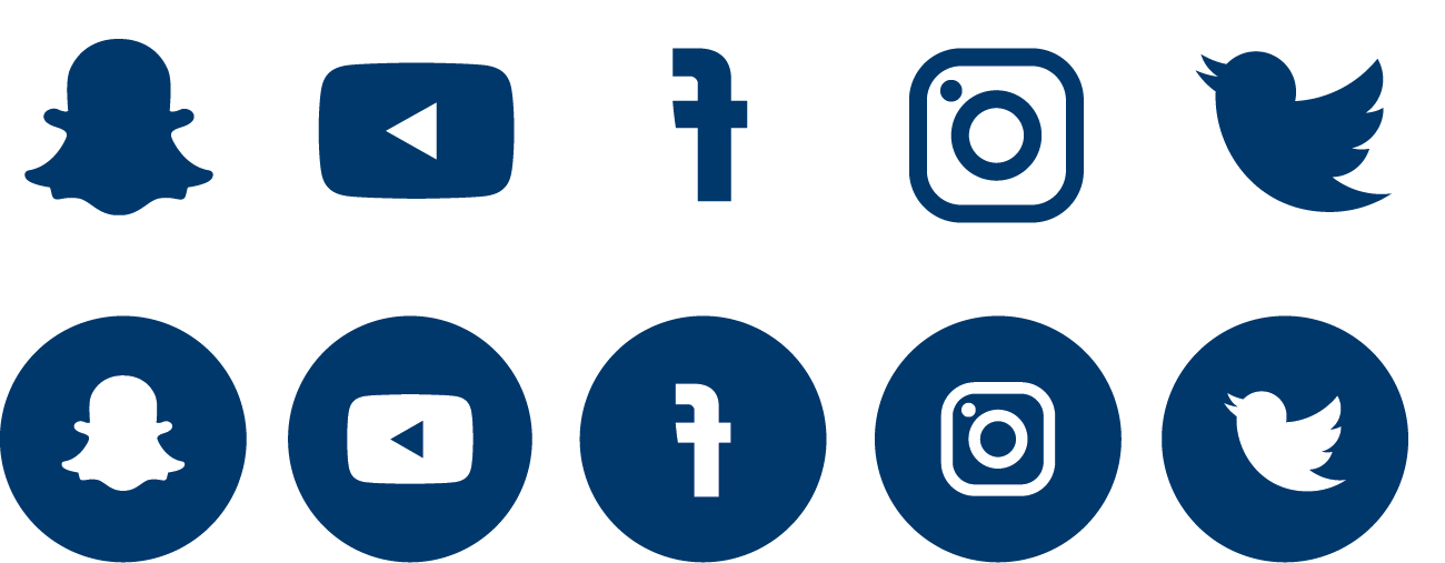 Example of social media icons in blue.