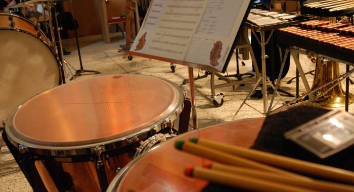 Timpanis in a concert hall