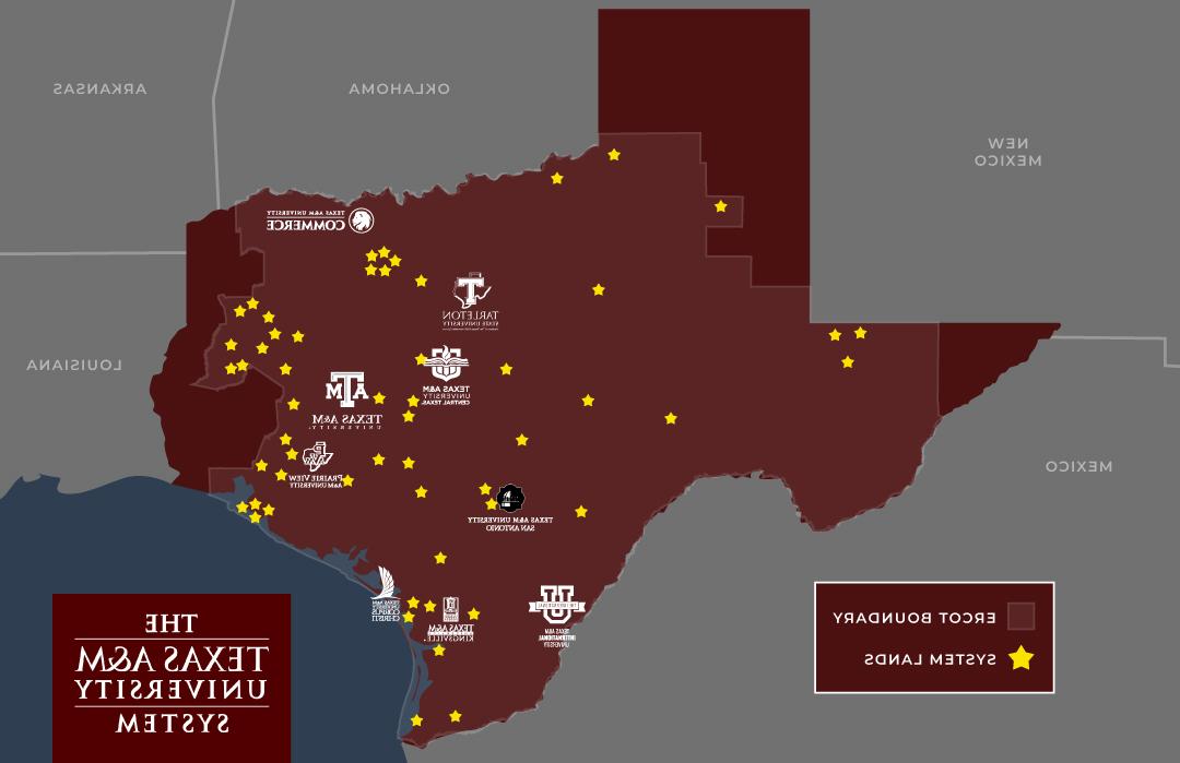 Image of Texas in maroon with yellow stars indicating power grid locations.